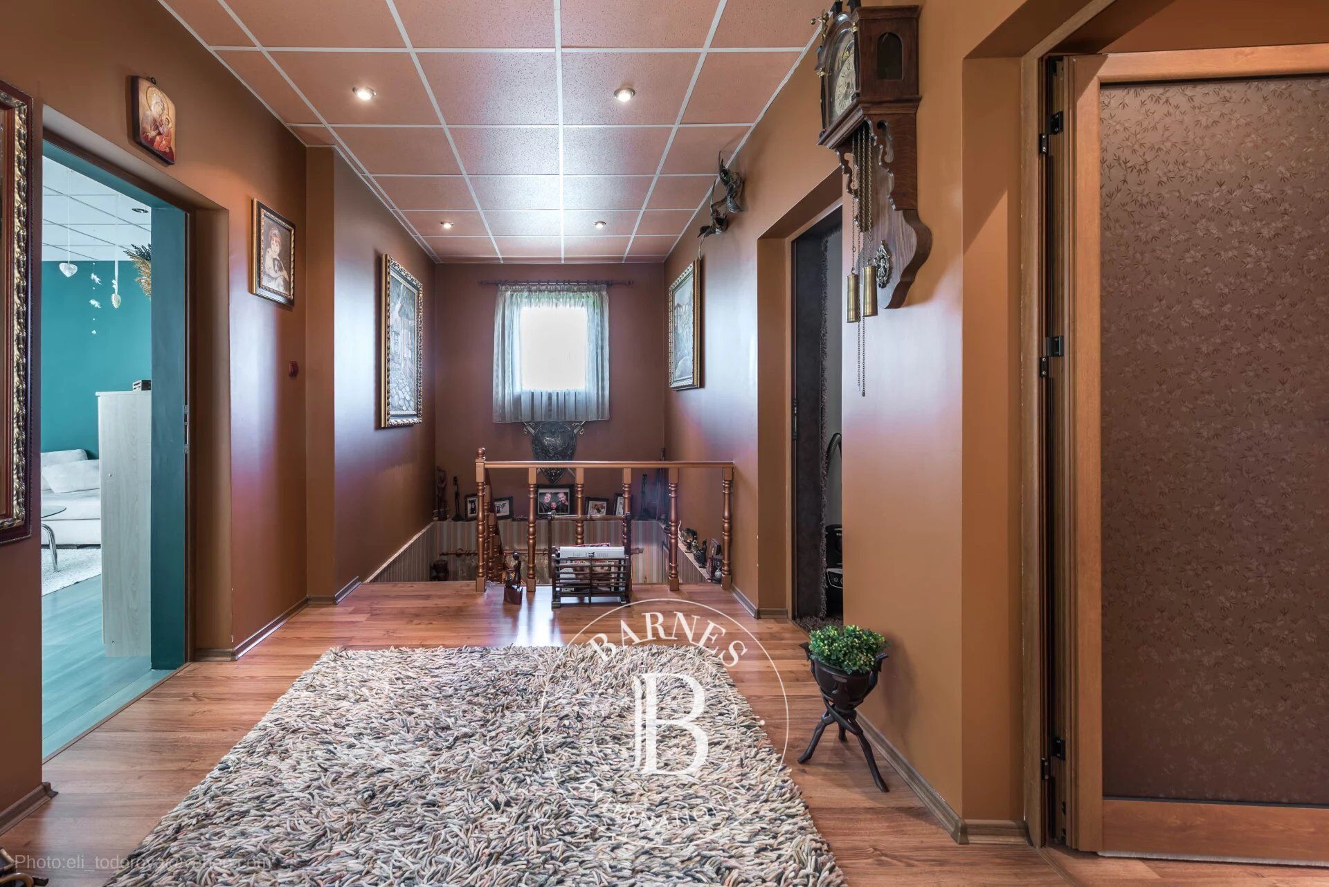 Ev Devnya - picture 20