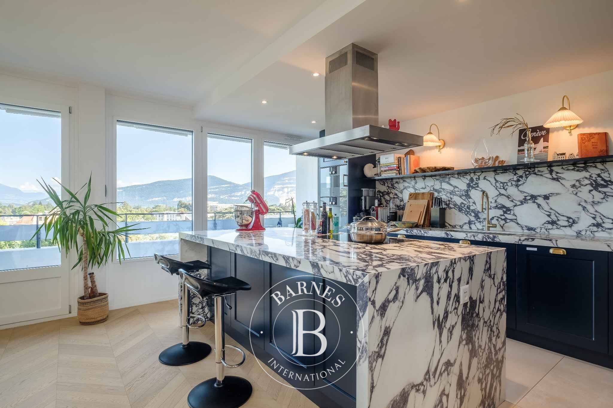 Penthouse Genève - picture 8