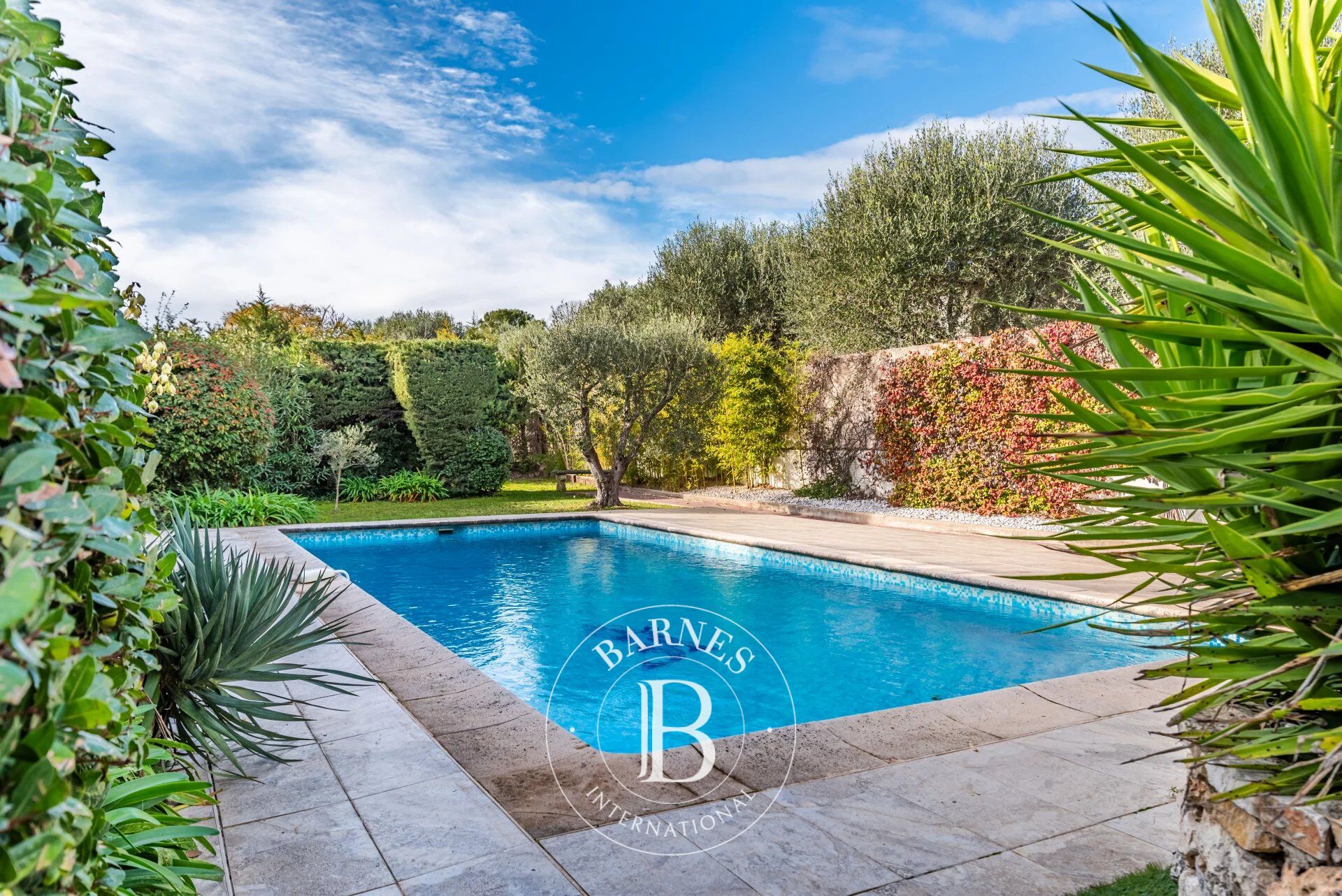 Ev Mougins - picture 19