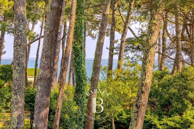 Venta, Villa Cap-Ferret - picture 2