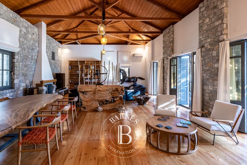 For Sale House | Magnesia - picture 2