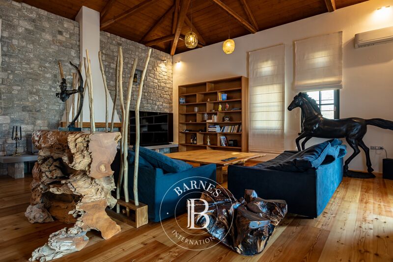 For Sale House | Magnesia - picture 3