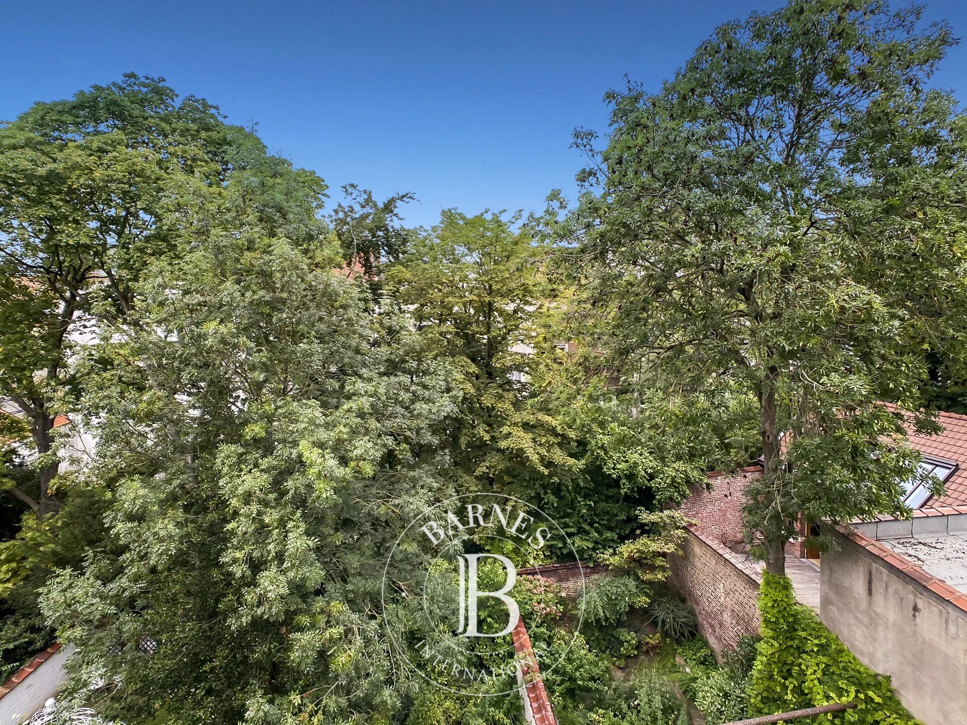 Ev Ixelles - picture 10