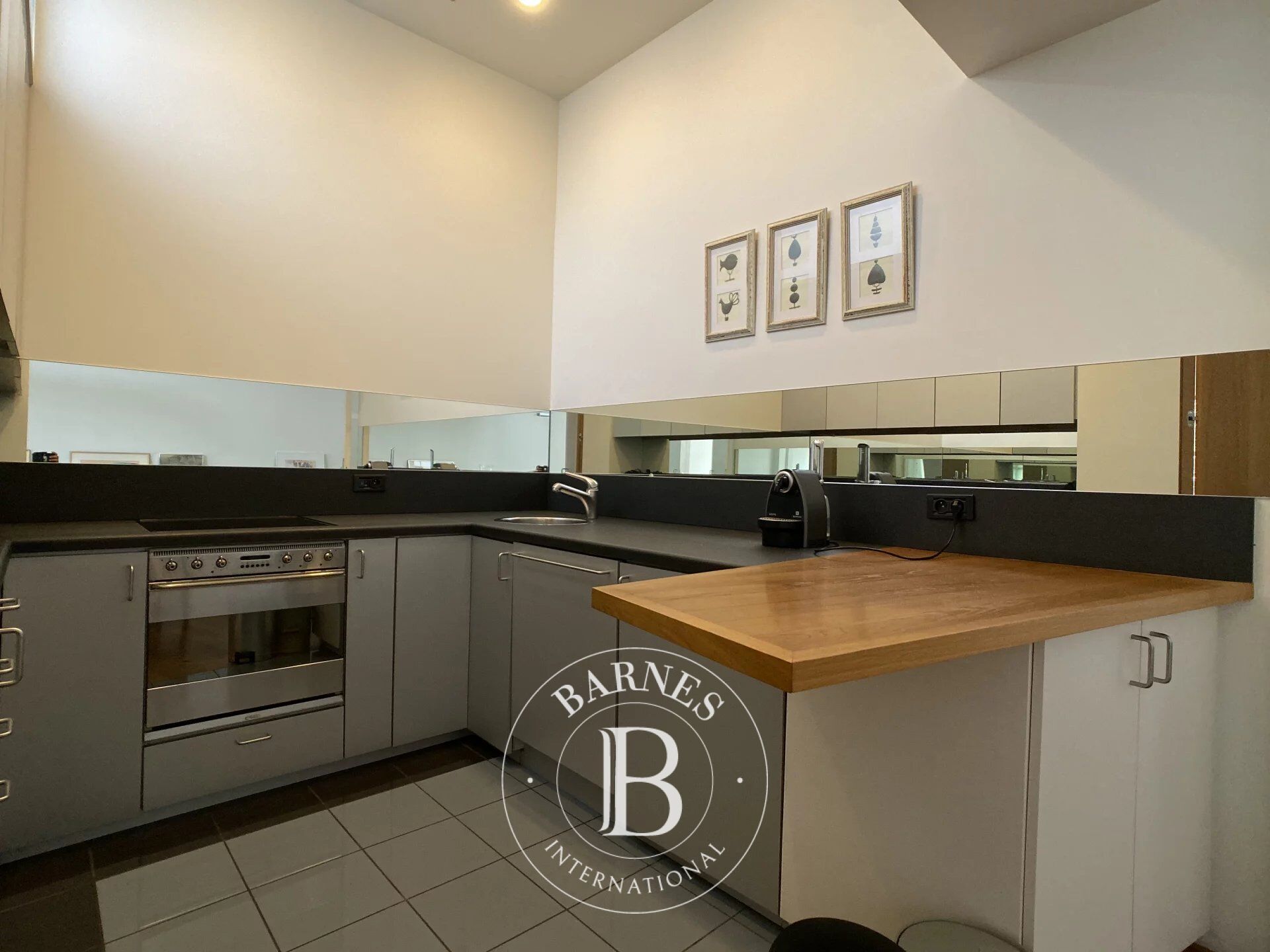 Ev Ixelles - picture 5