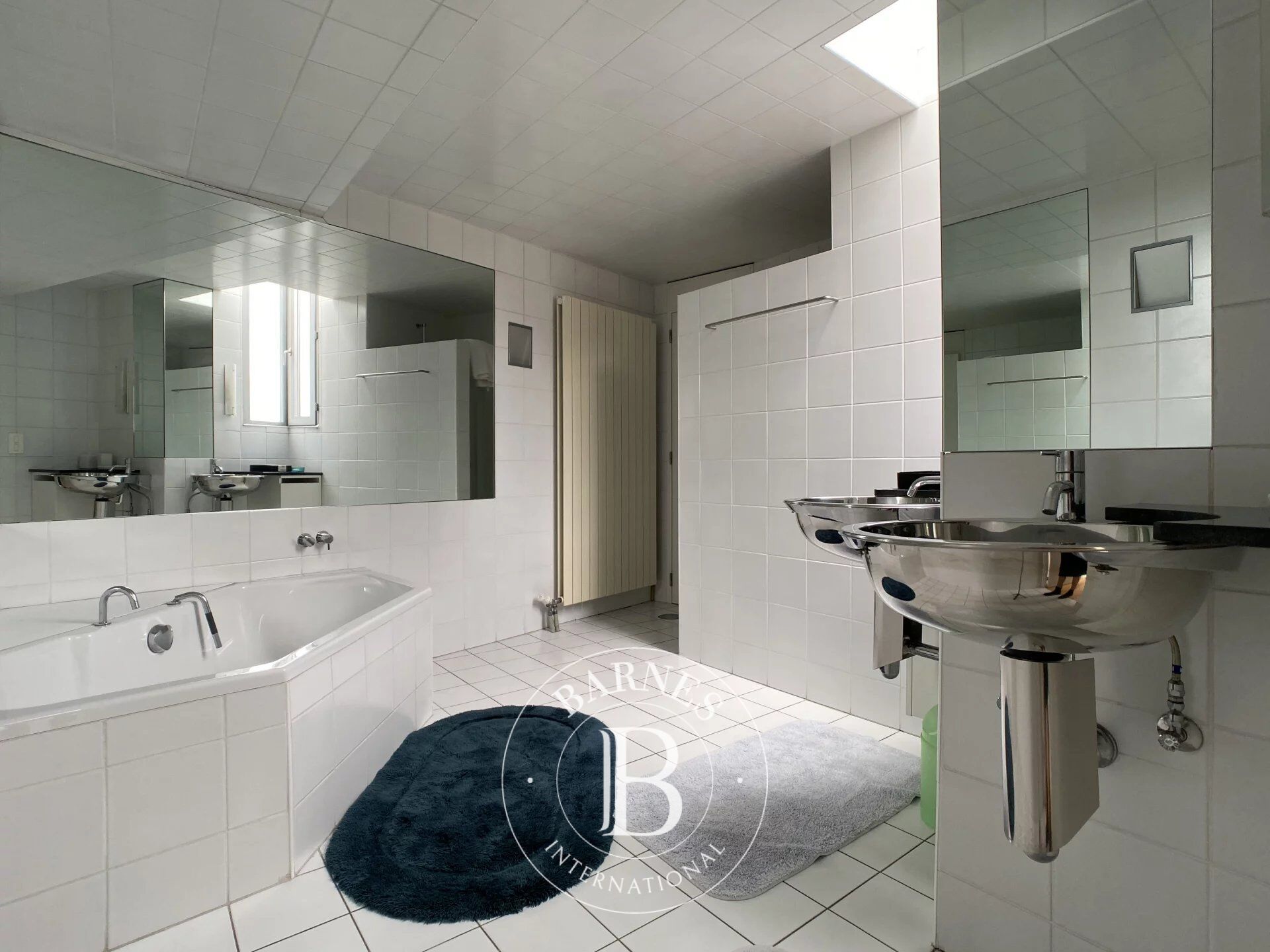 Ev Ixelles - picture 8