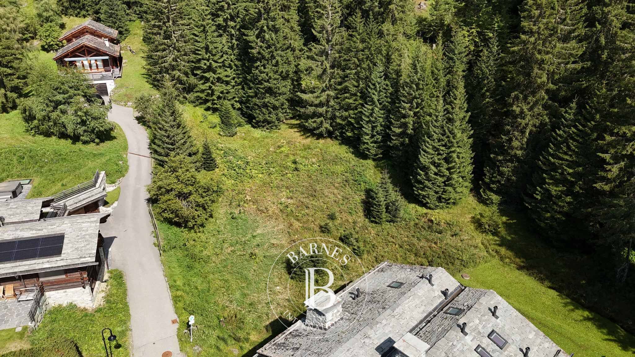 Arazi Verbier - picture 7