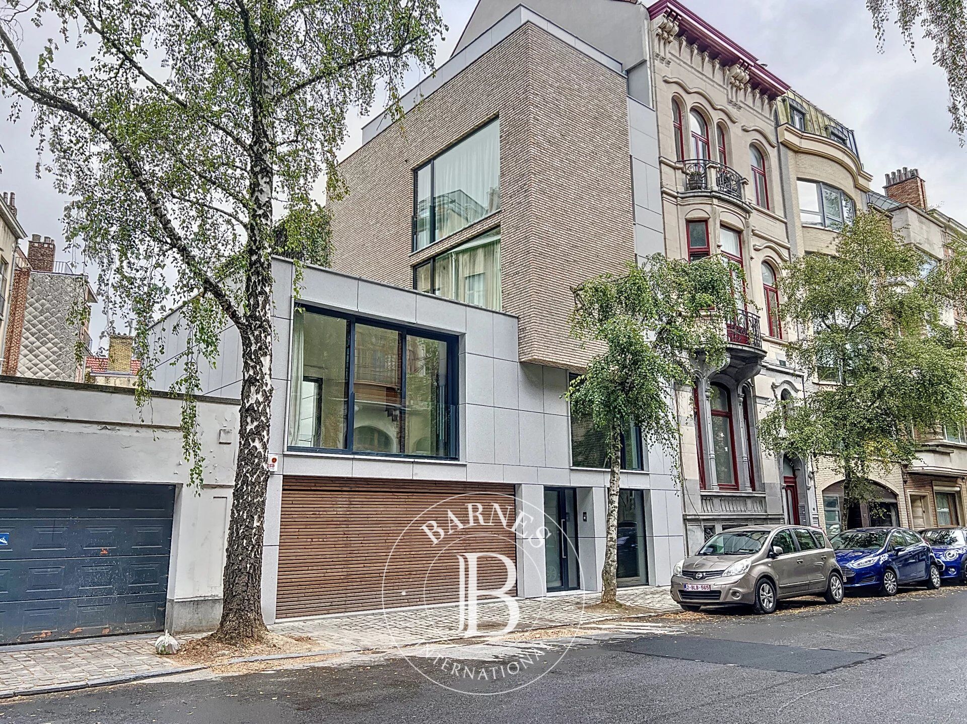 Ev Forest - picture 23