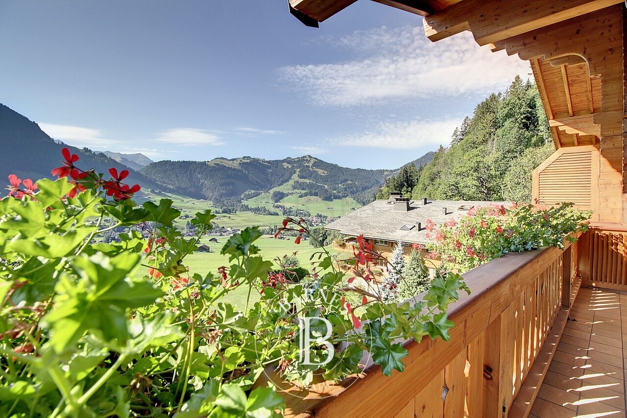 Magnifique appartement en duplex  sur les hauteurs du village - picture 2