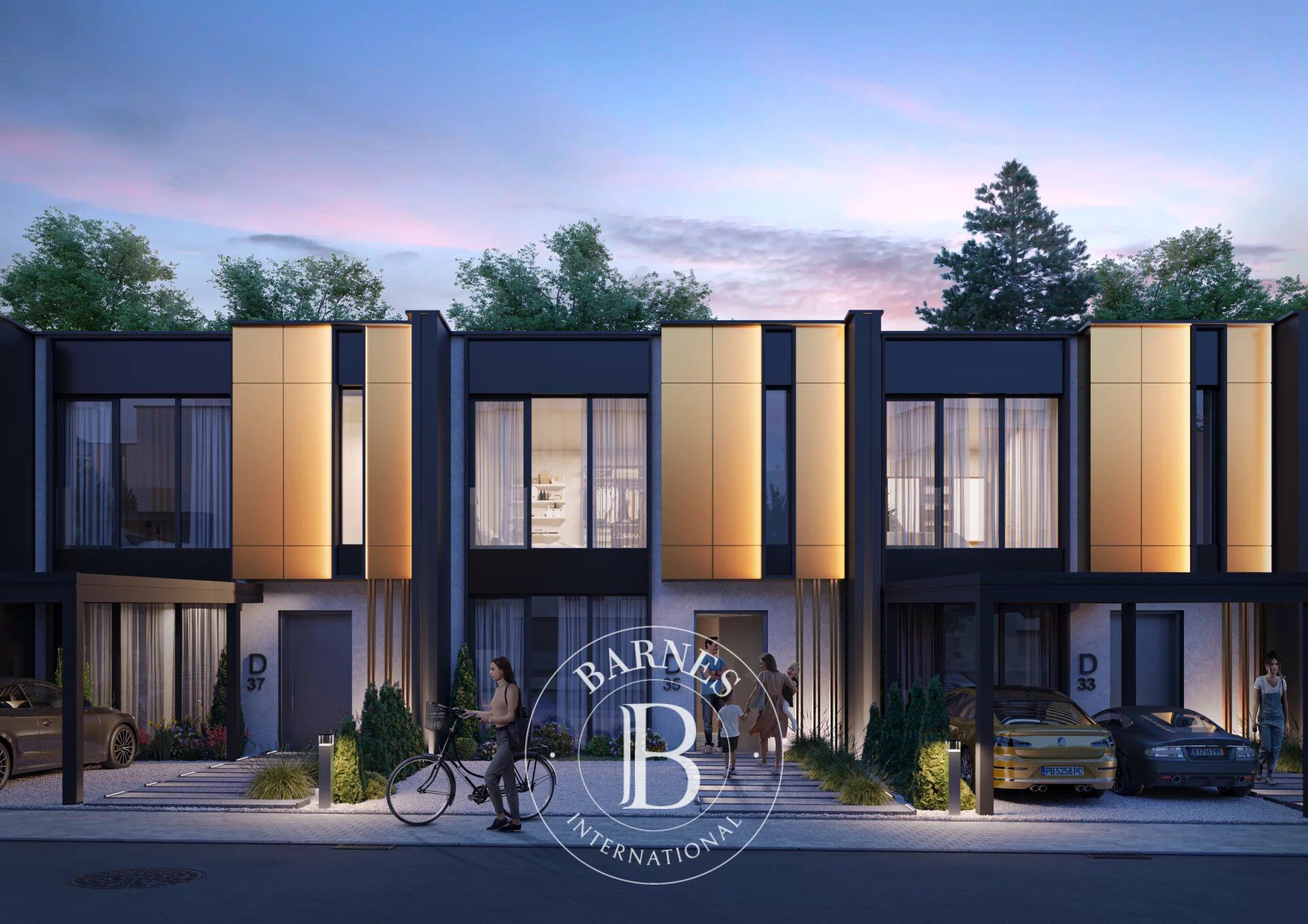 Ev Kambanite - picture 5