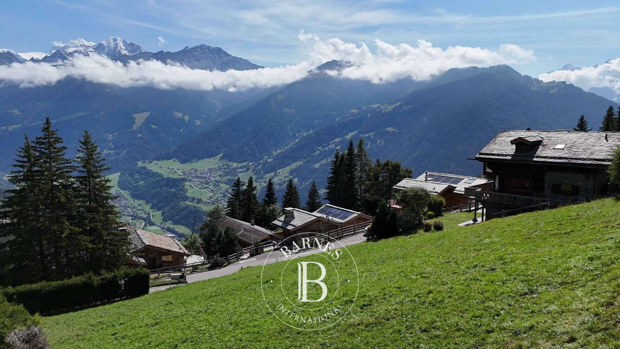 Arazi Verbier - picture 4