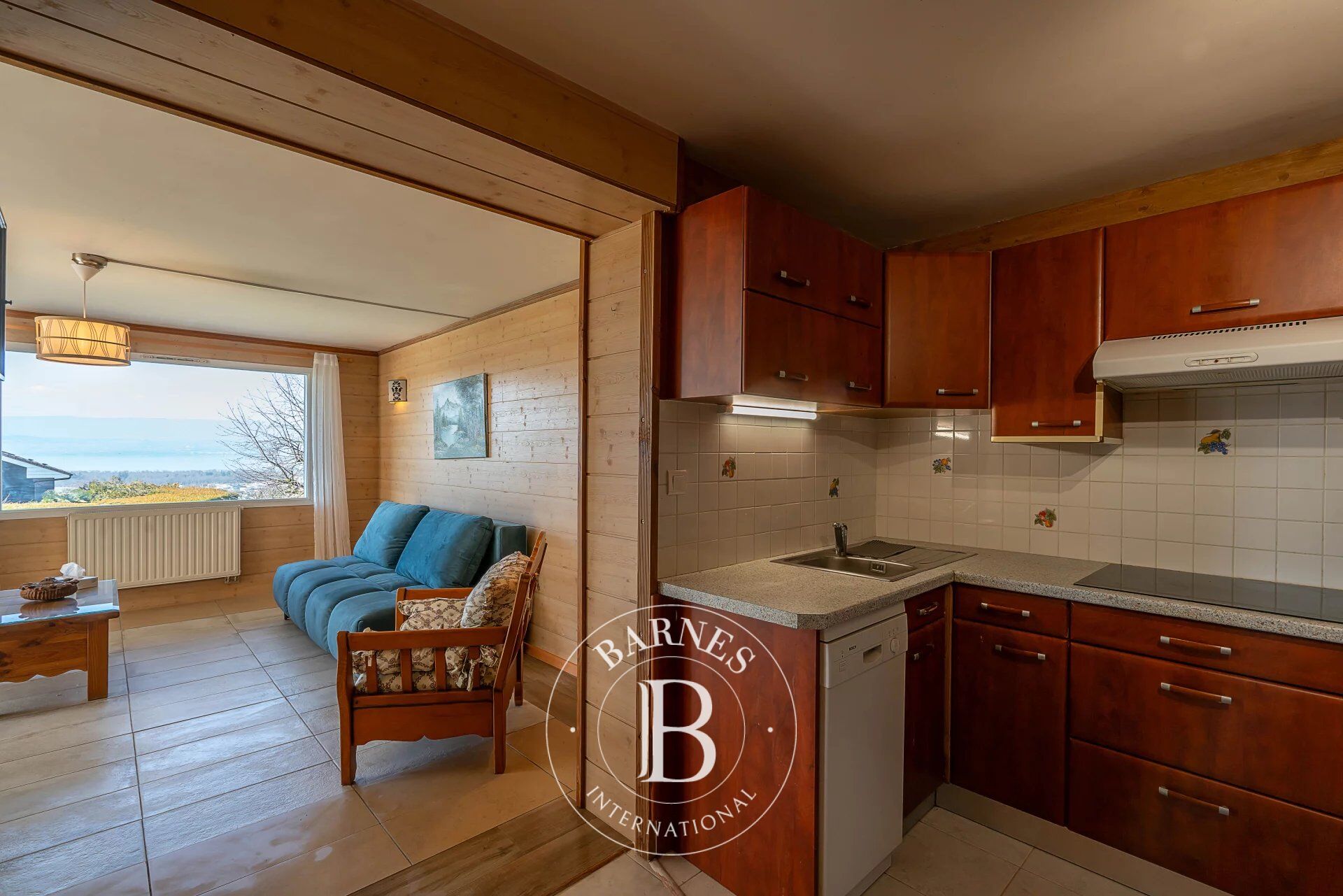 Ev Marin - picture 24