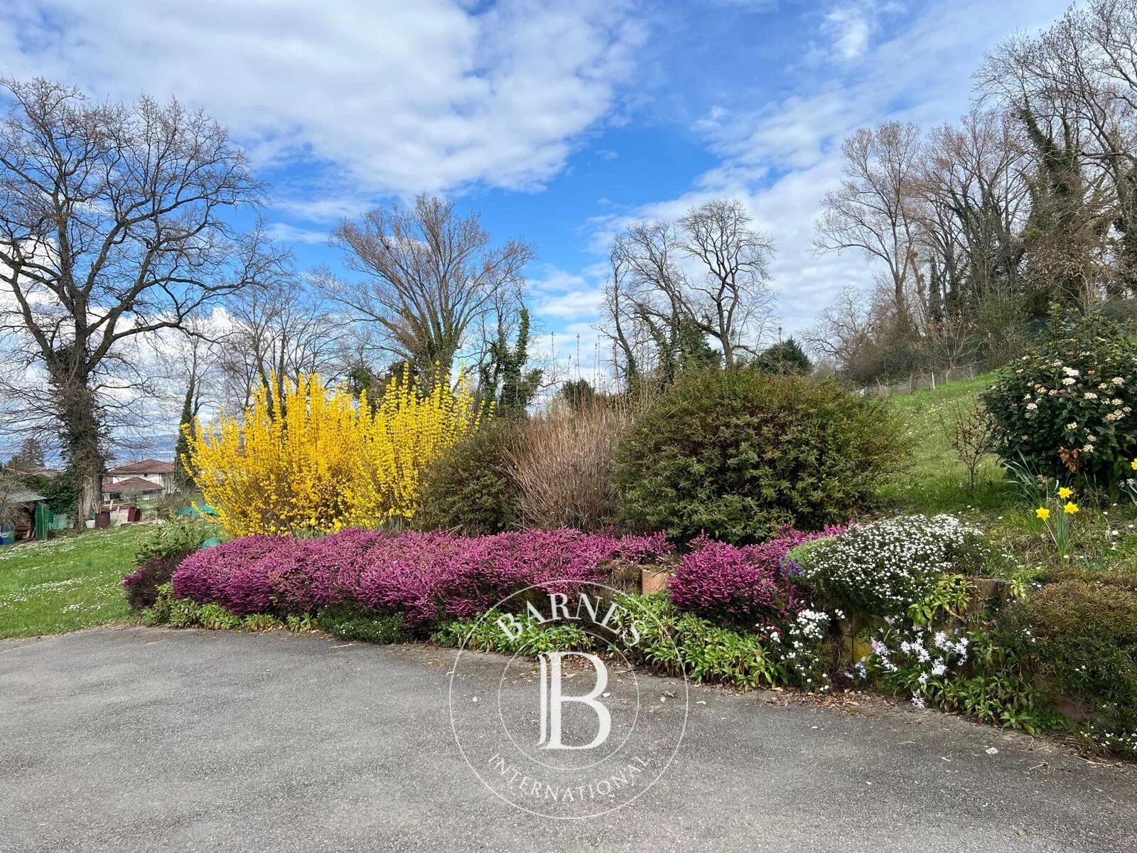 Ev Marin - picture 5