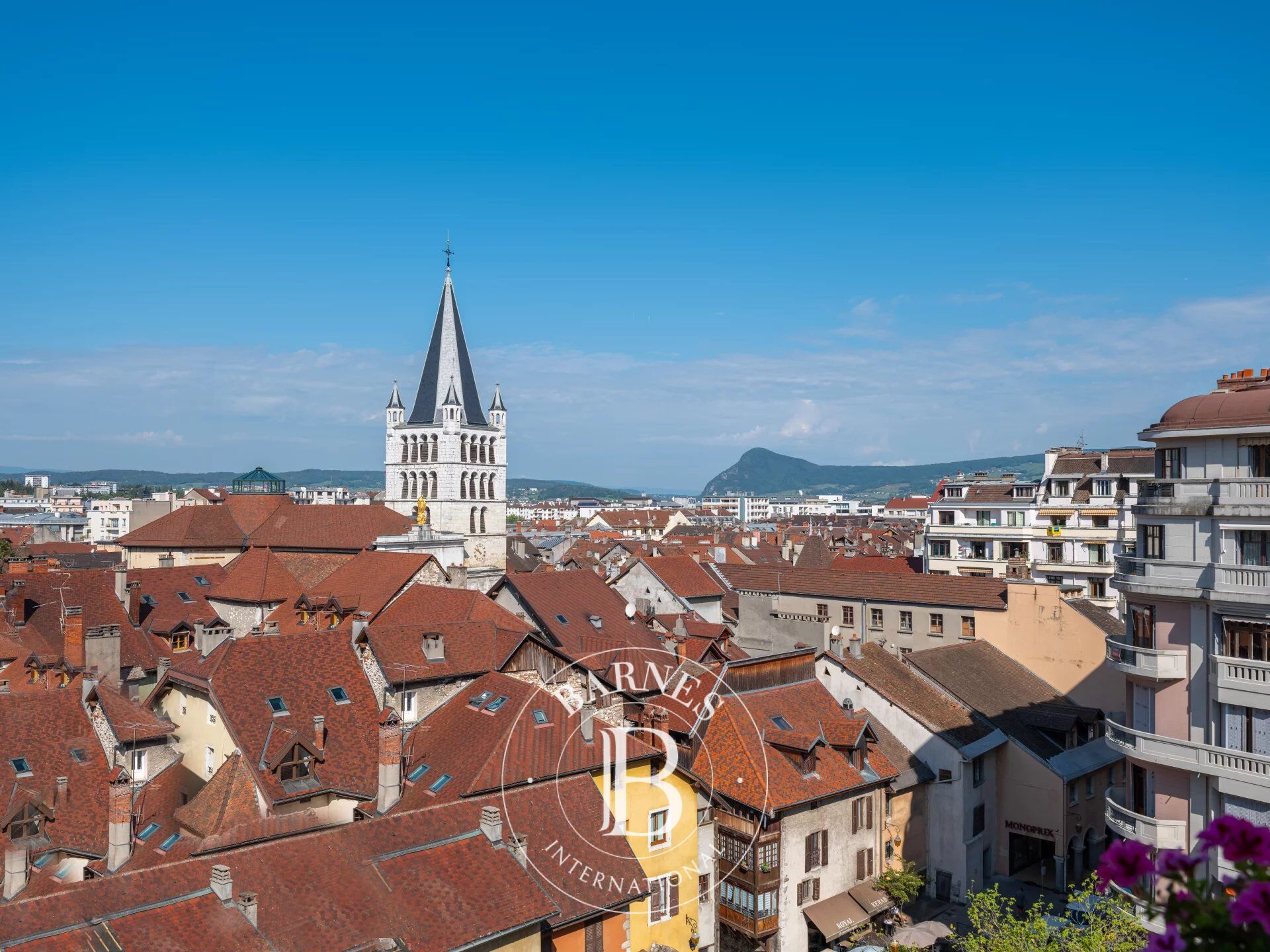 BARNES ANNECY EXCLUSIVITE  DERNIER ETAGE - picture 2