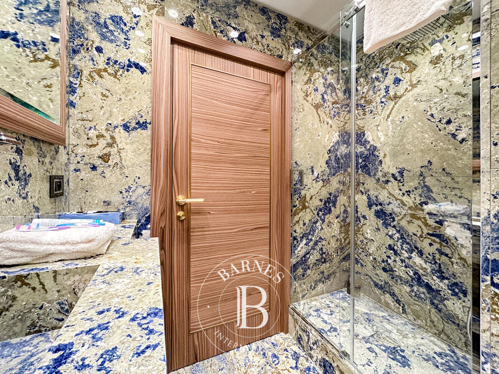 Daire Monaco - picture 6