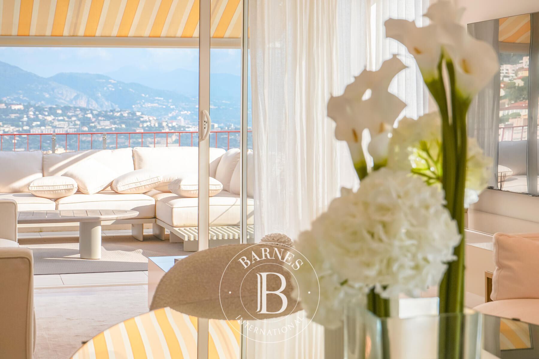 Daire Monaco - picture 6