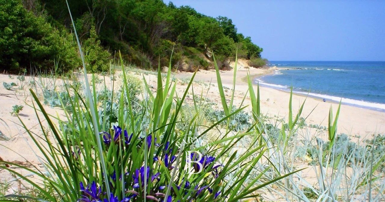 Ev Priseltsi - picture 6