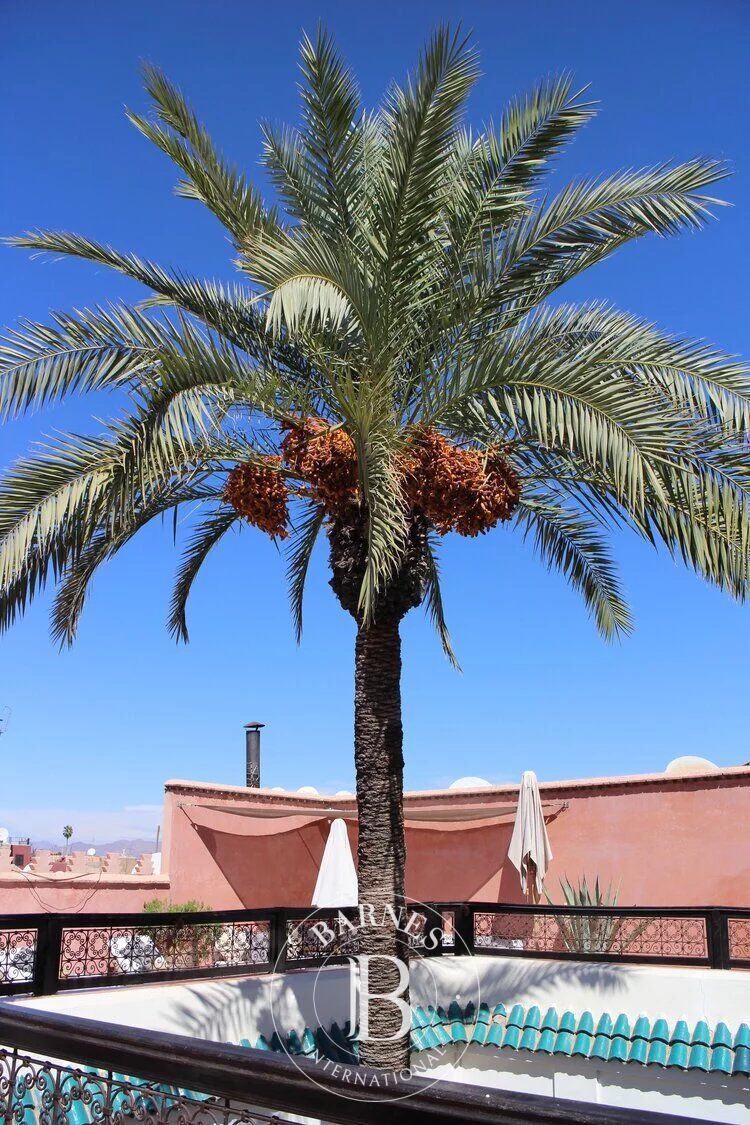 Riad Marrakech - picture 16