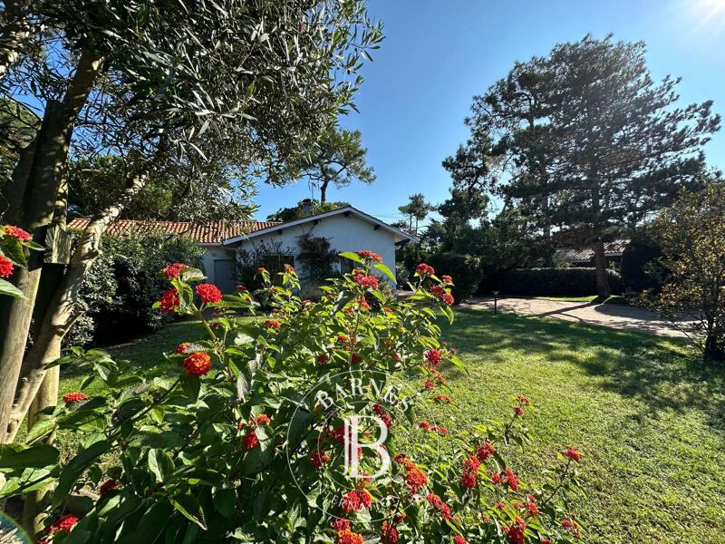 Vendido, Villa Cap-Ferret - picture 2