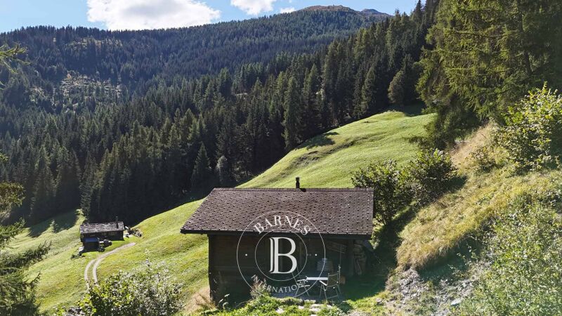 Vendita Chalet | Bruson - picture 3