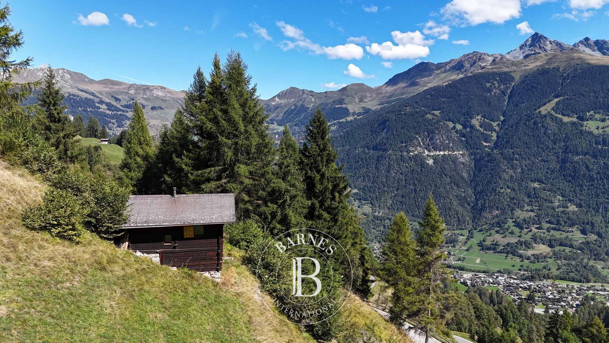 JOLI MAYEN BRUSON - 2 CHAMBRES - 60 M2  - picture 2