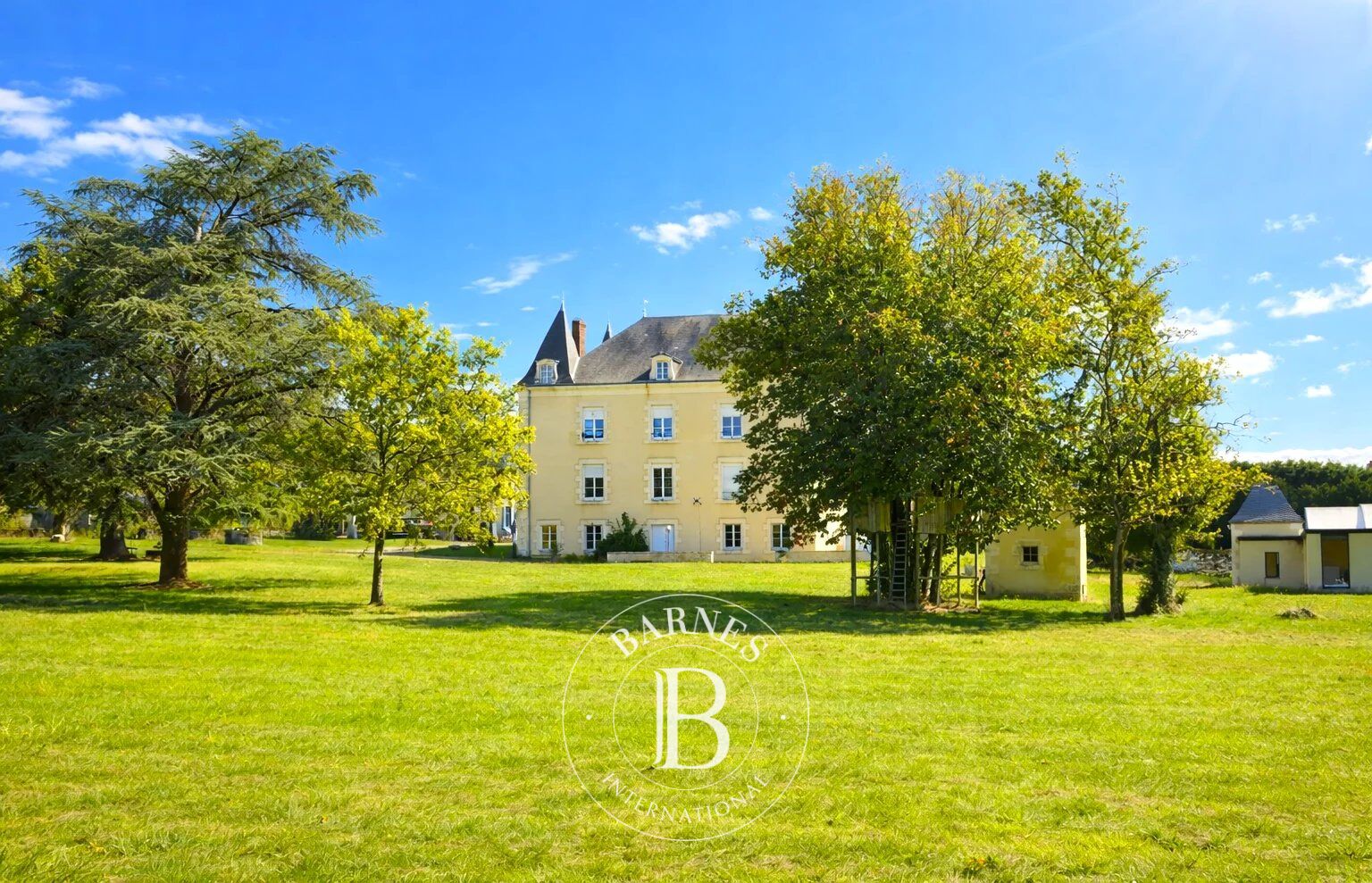 Vienne - Belle demeure XIXe entièrement rénovée - Terrain de 2.8 ha - picture 1