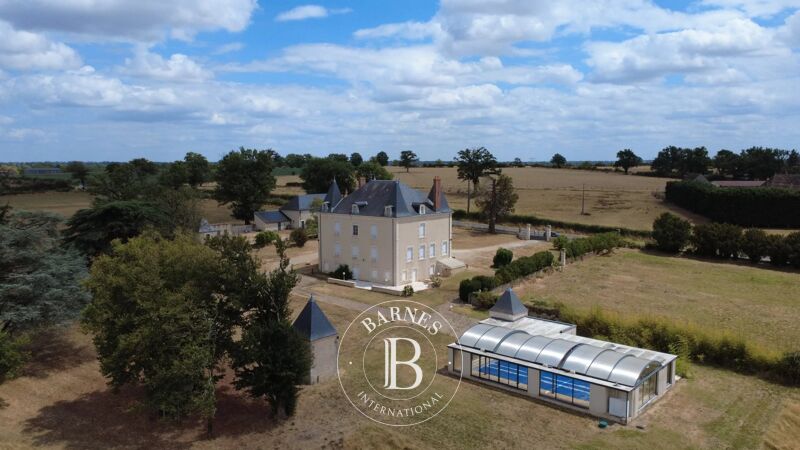 For Sale, Manor house Journet - picture 2