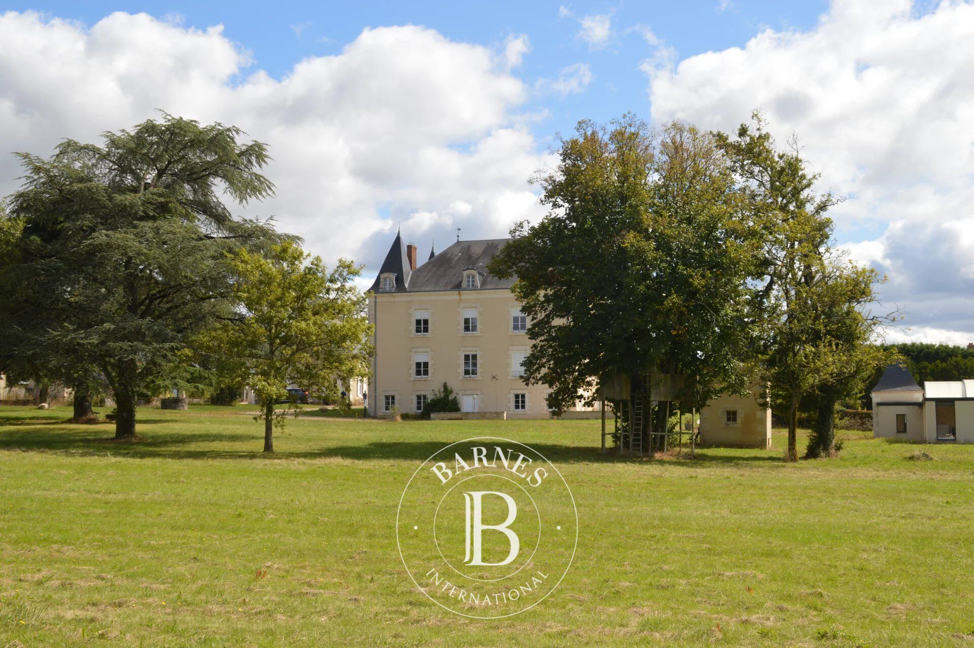 Vienne - Renovated 19th century manor house - 2.8 hectares of land - picture 1