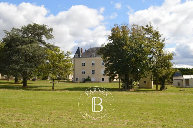 For Sale, Manor house Journet - picture 1