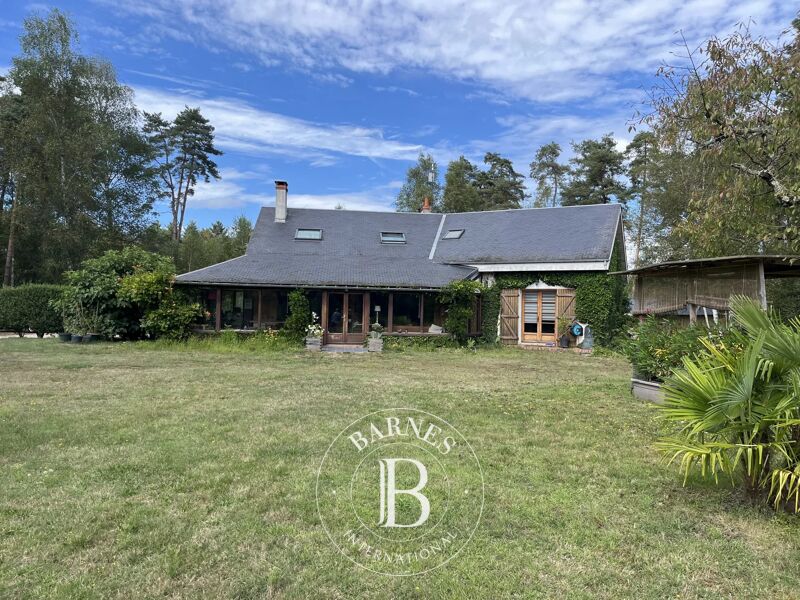 Venta, Finca Brinon-sur-Sauldre - picture 2