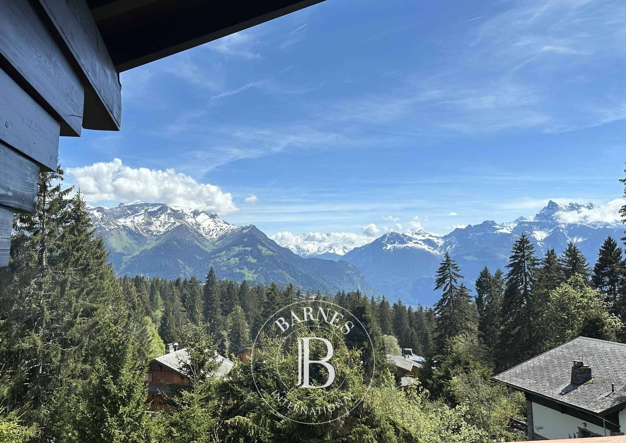 Daire Villars-sur-Ollon - picture 5