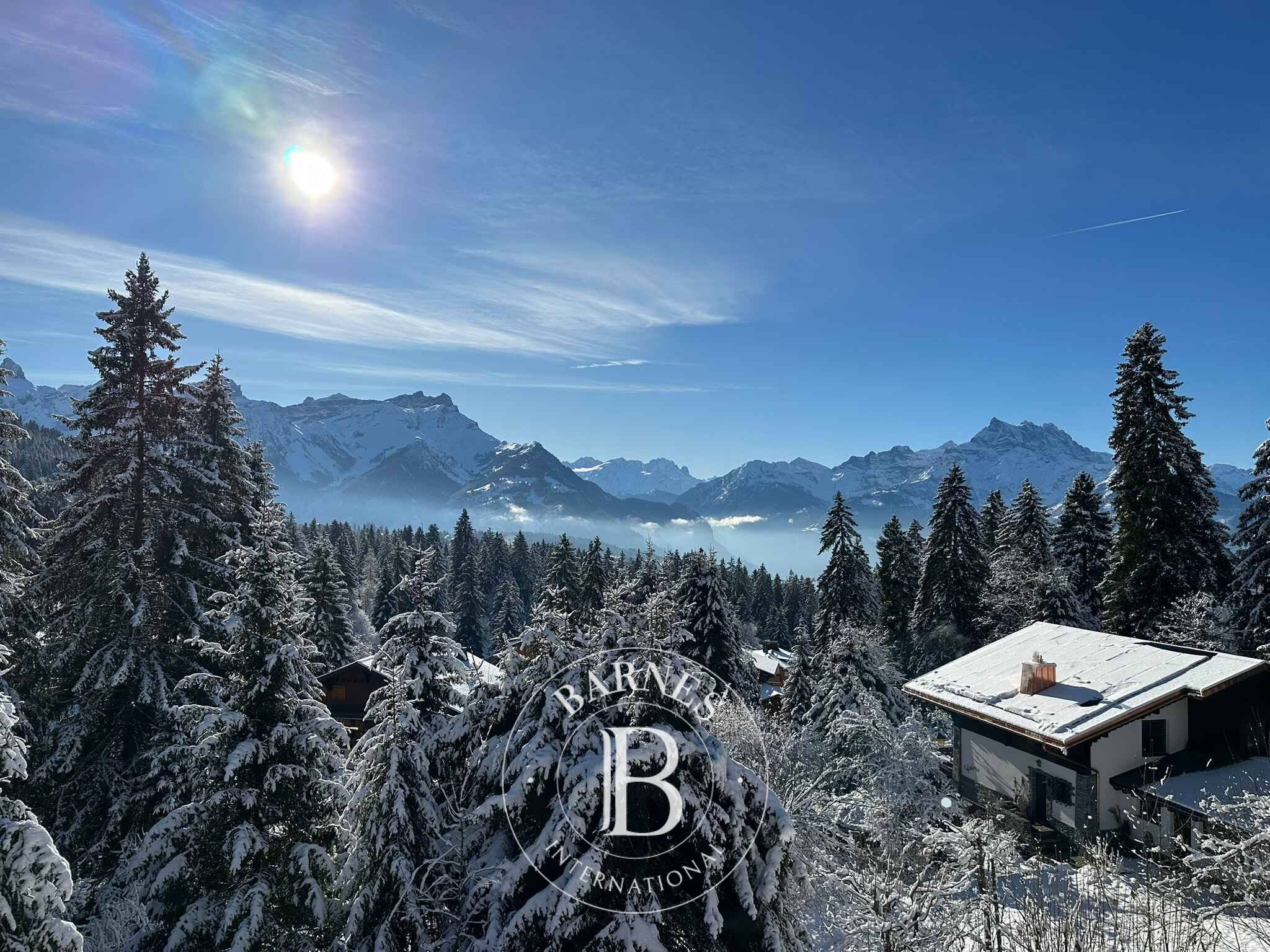 Daire Villars-sur-Ollon - picture 10