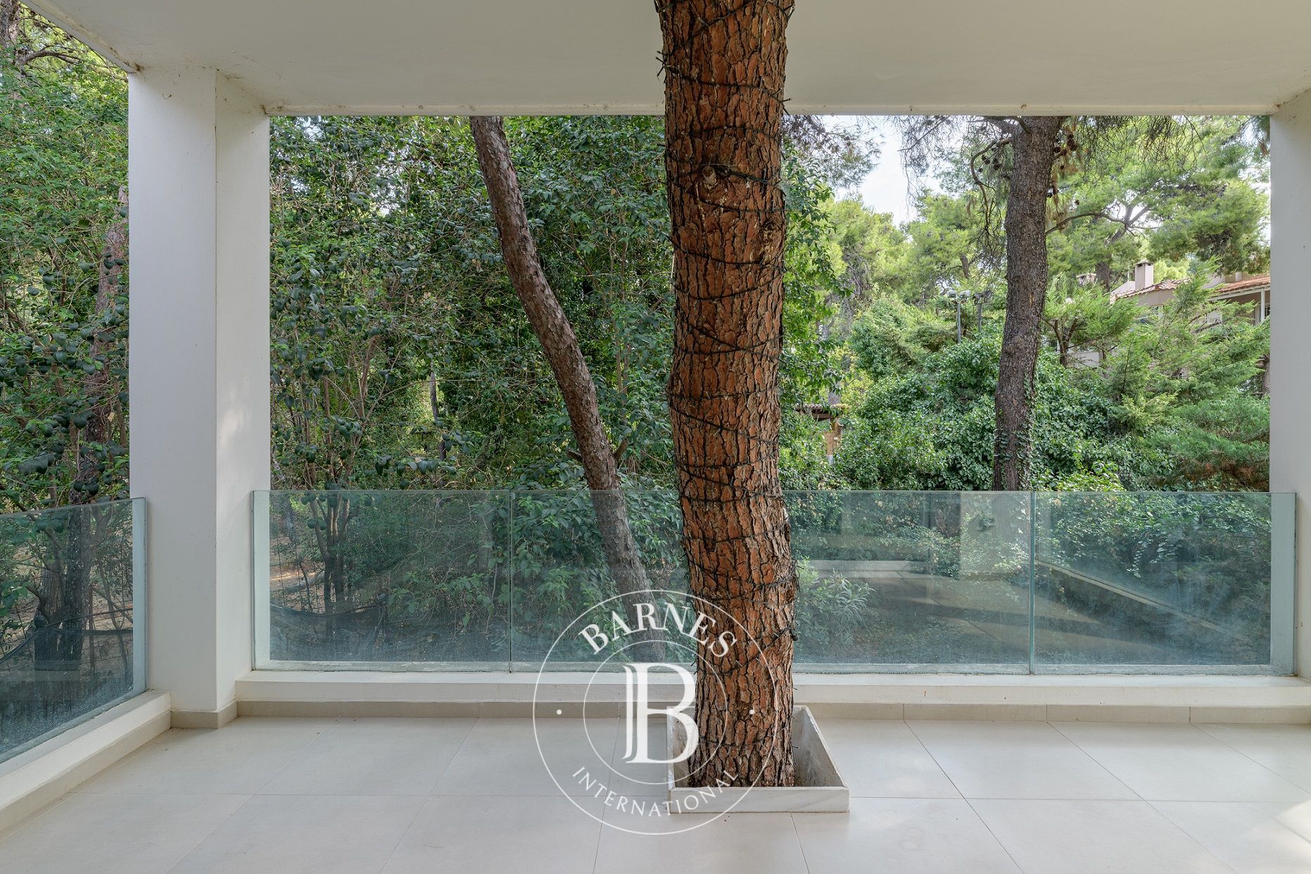 Ev Ekali - picture 15