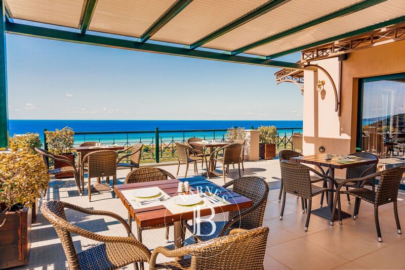 Zu verkaufen, Gewerbe Peloponnese - picture 3