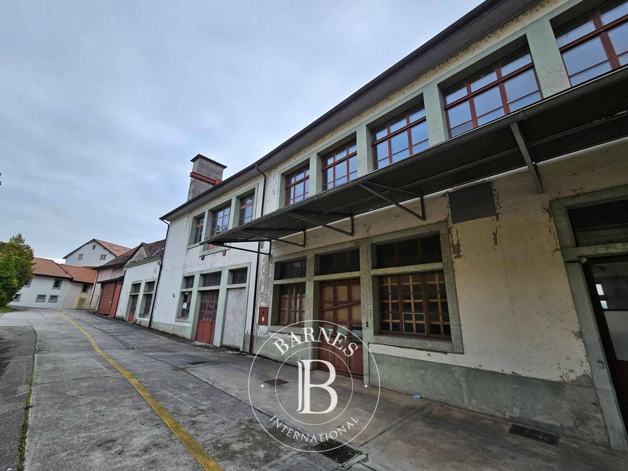 For Sale, Building Grandson - picture 3