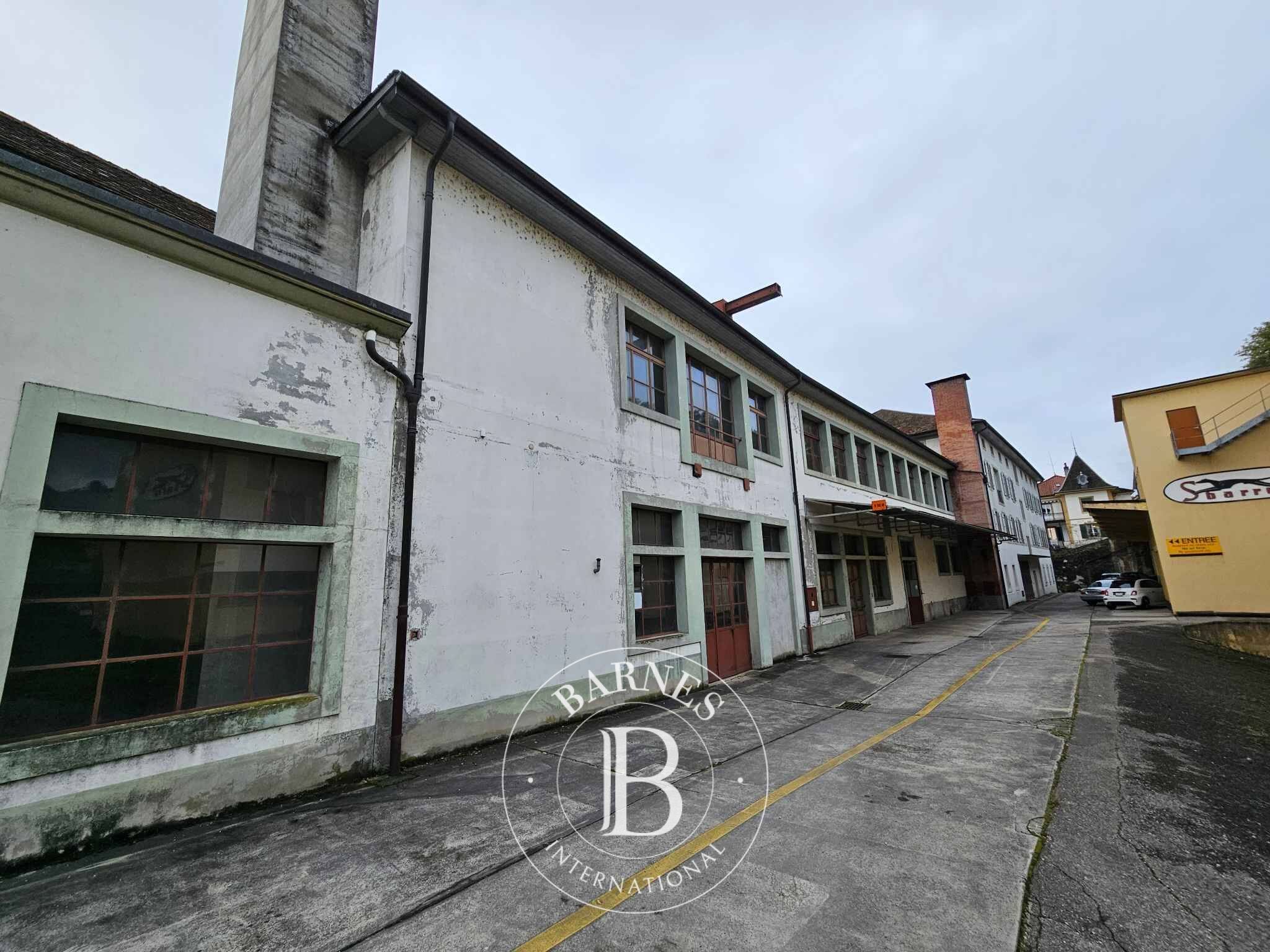 For Sale, Building Grandson - picture 5