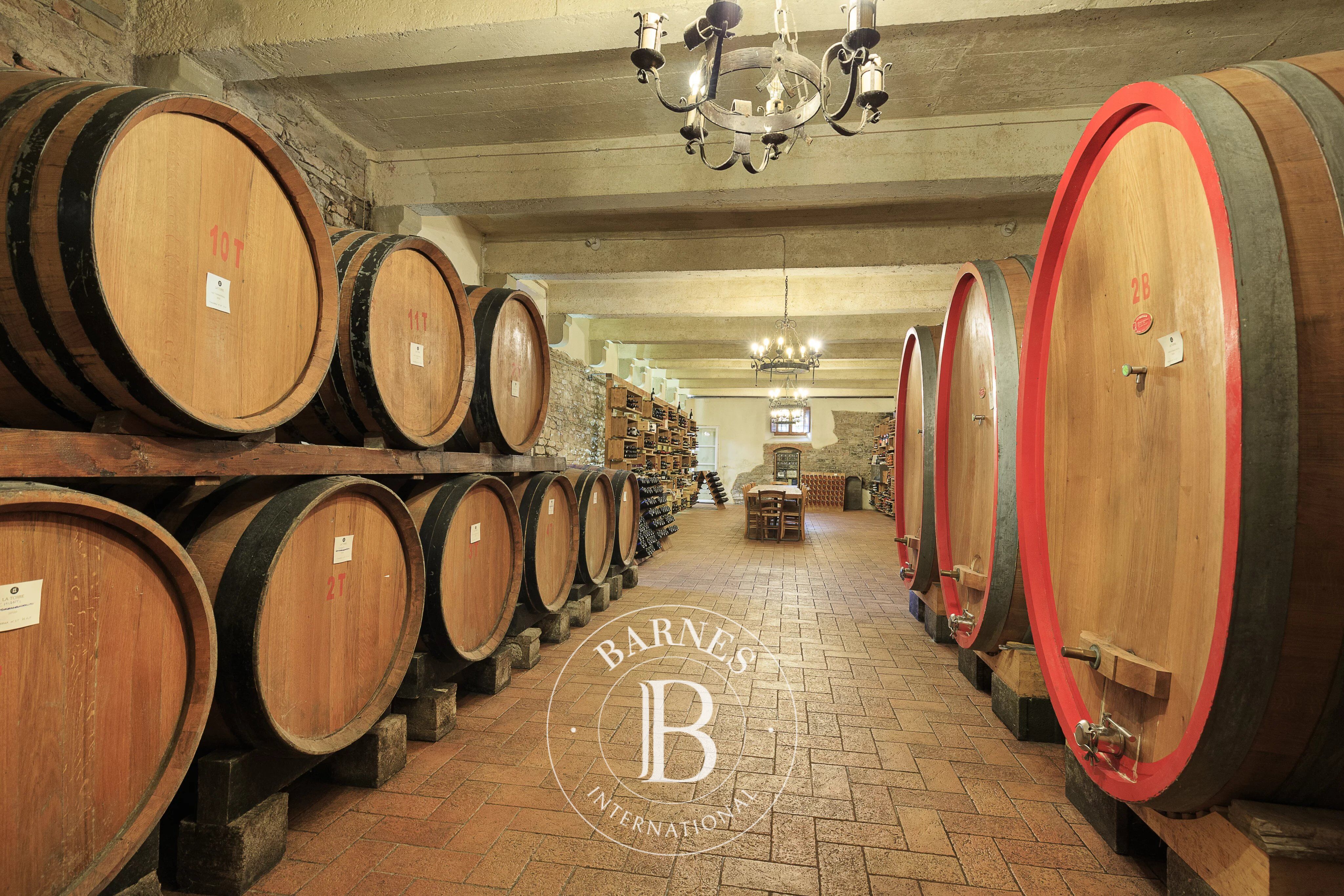 Mülkiyet Arezzo - picture 22