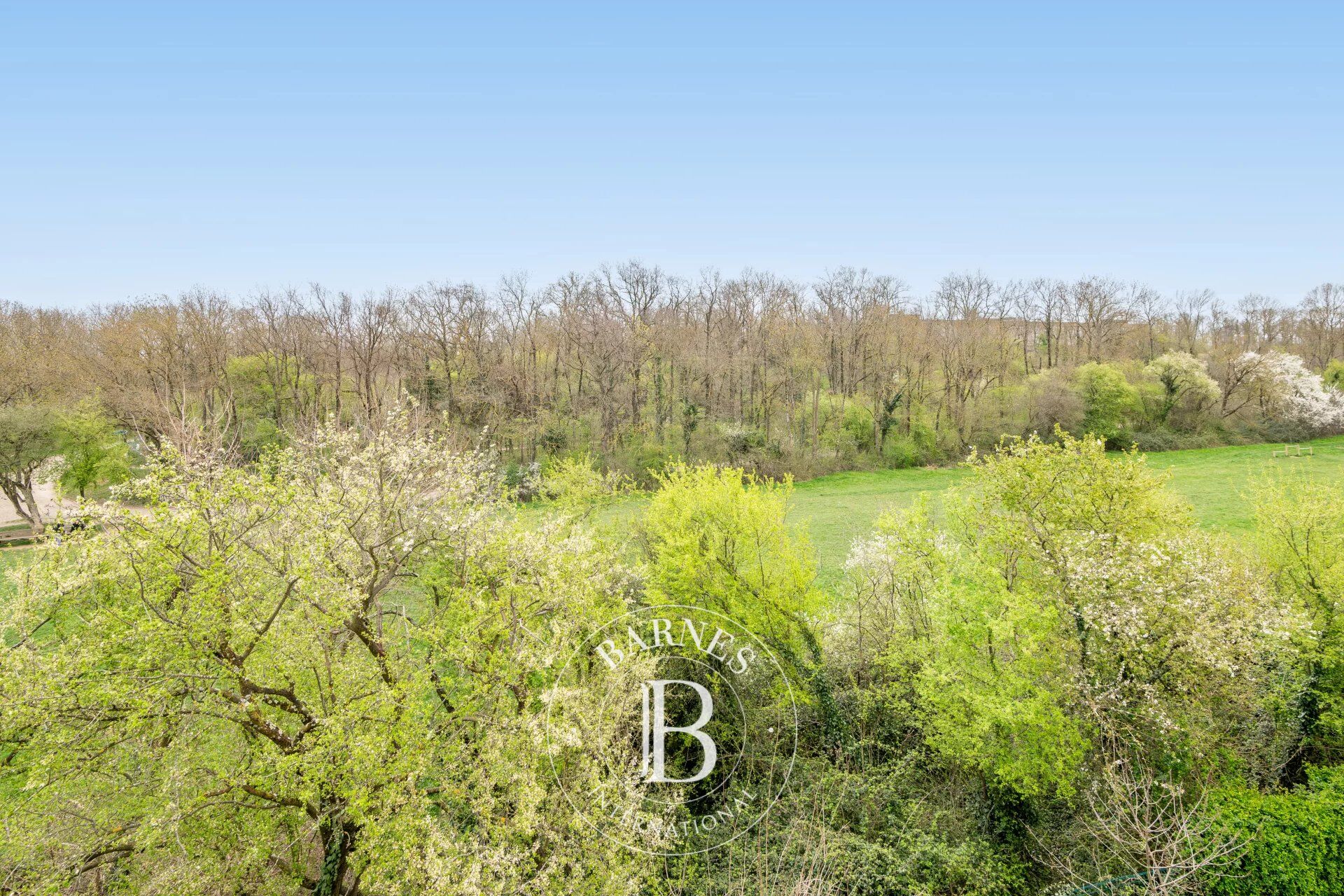 Piso Bron - picture 3