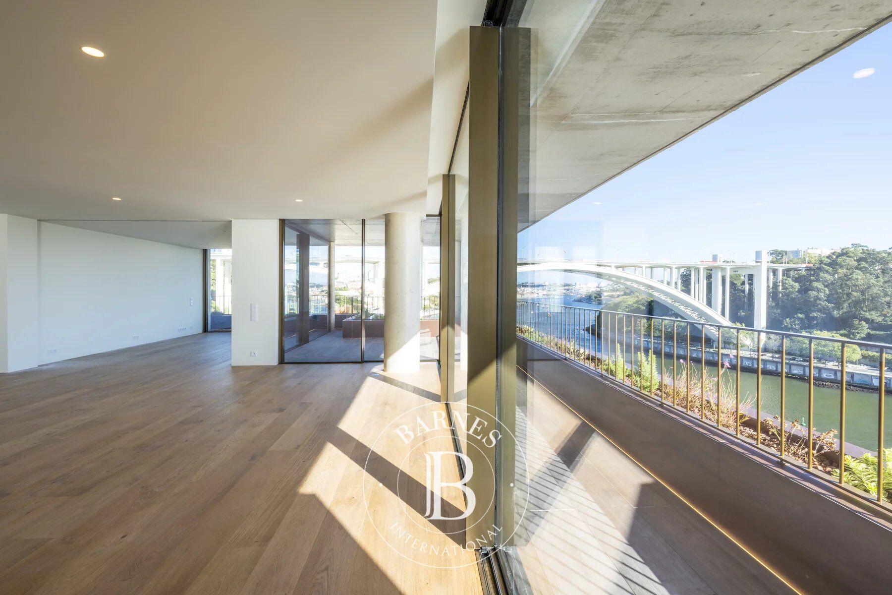 Vue panoramique de la rivière Douro - picture 3