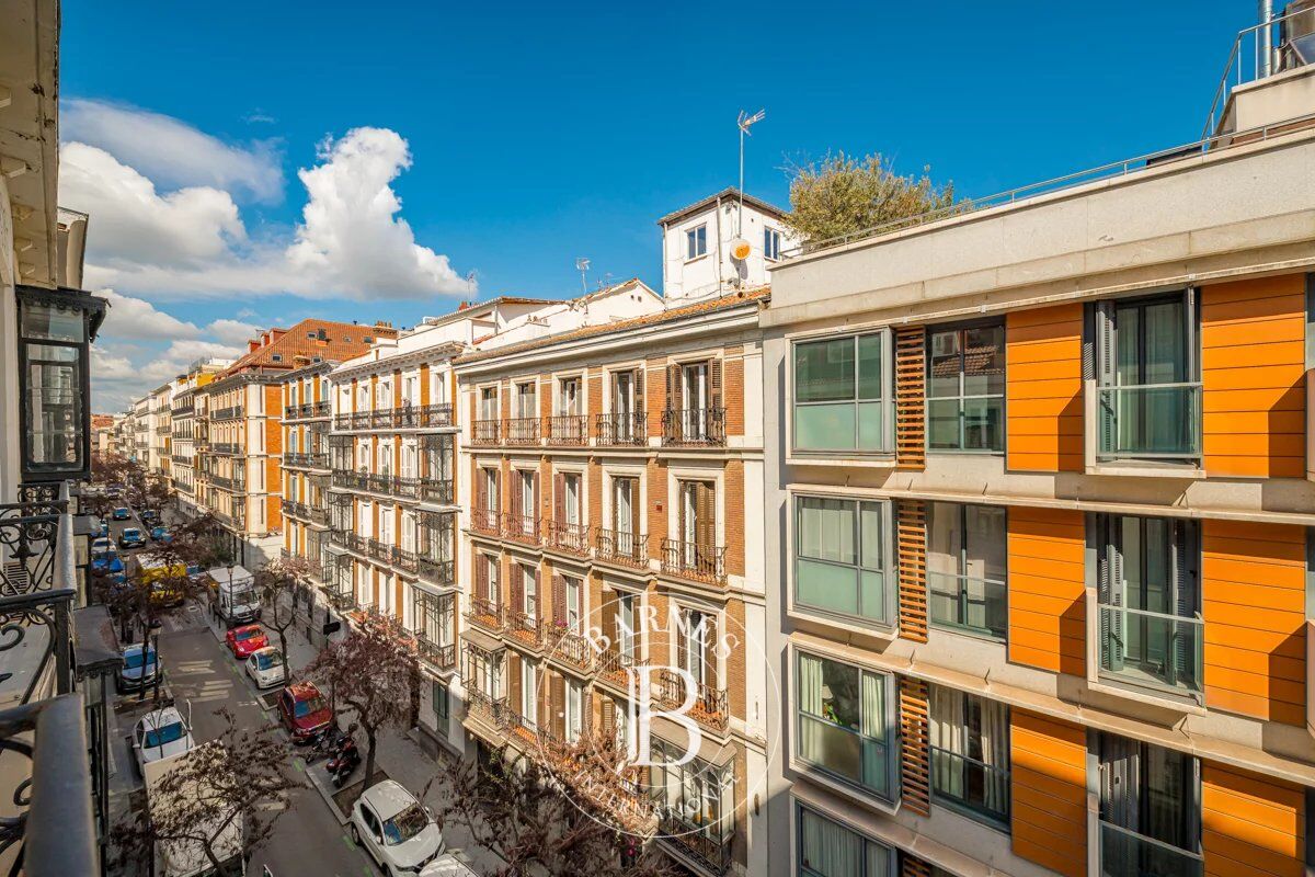 Daire Madrid - picture 36