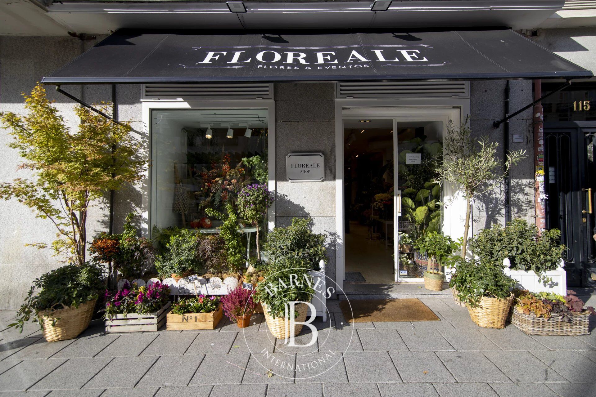 Daire Madrid - picture 19