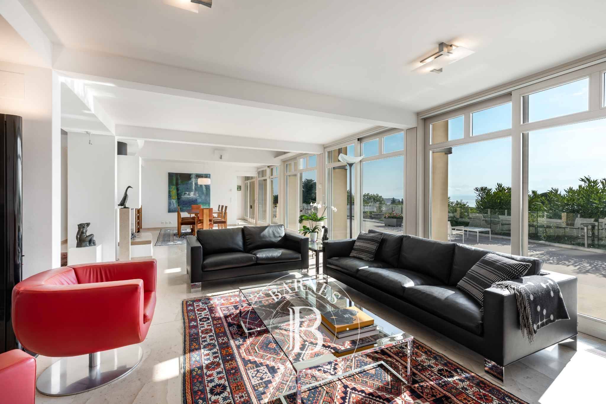 Villa Prangins - picture 2