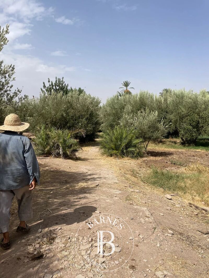 For Sale Building land | Marrakech - picture 3