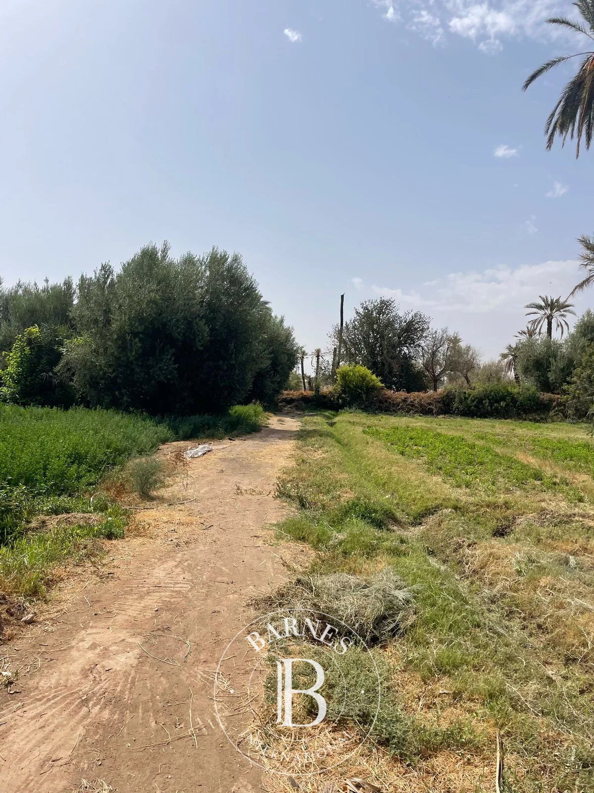 Land for Sale - Palmeraie Circuit, Marrakech - picture 2