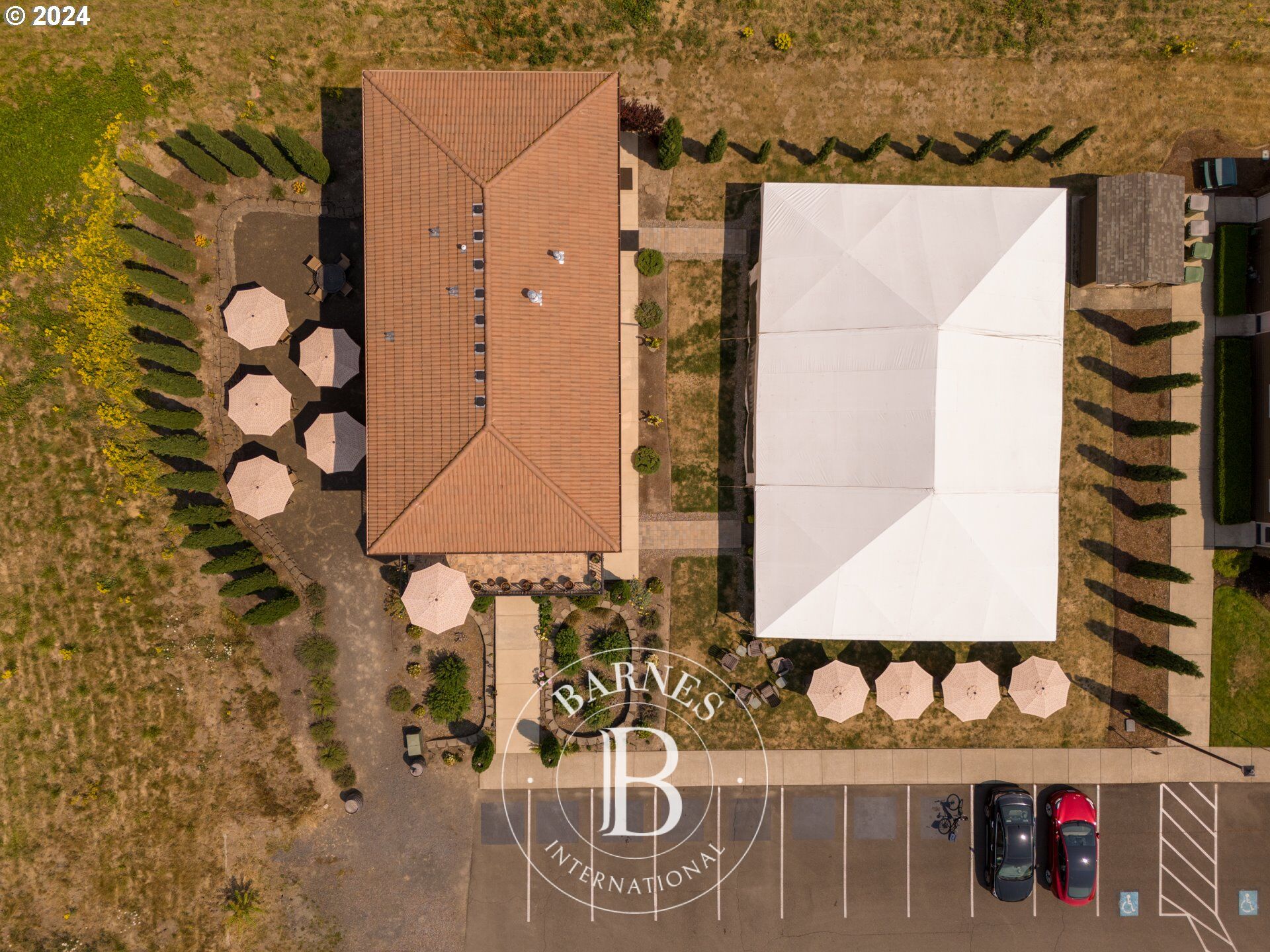 For Sale, House Dundee - picture 1