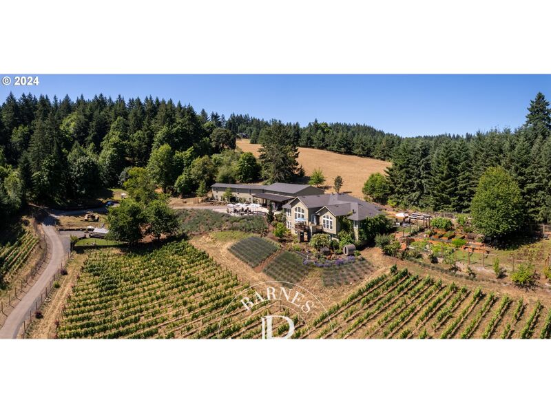 À vendre, Maison Newberg - picture 3