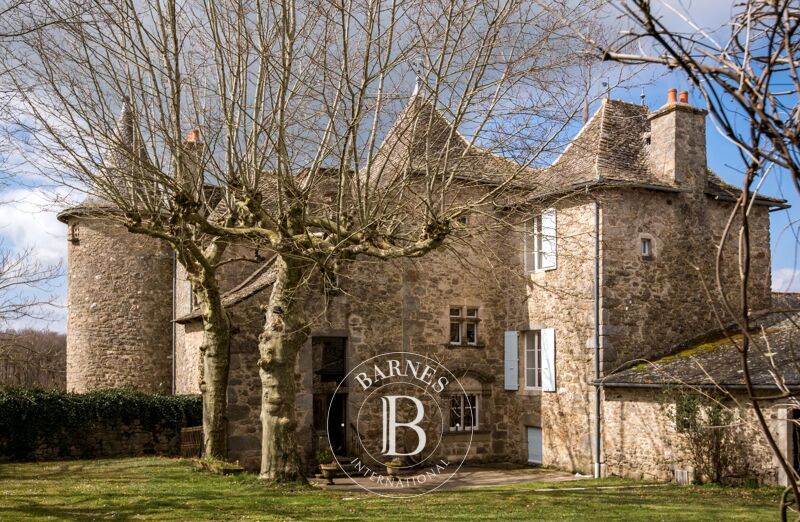 Vendita, Castello Saint-Salvadou - picture 1