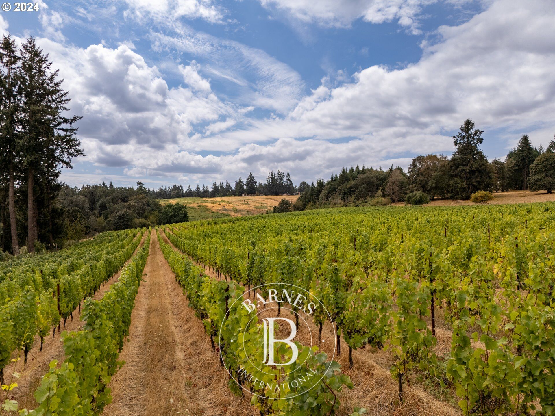 À vendre, Terrain constructible Amity - picture 5