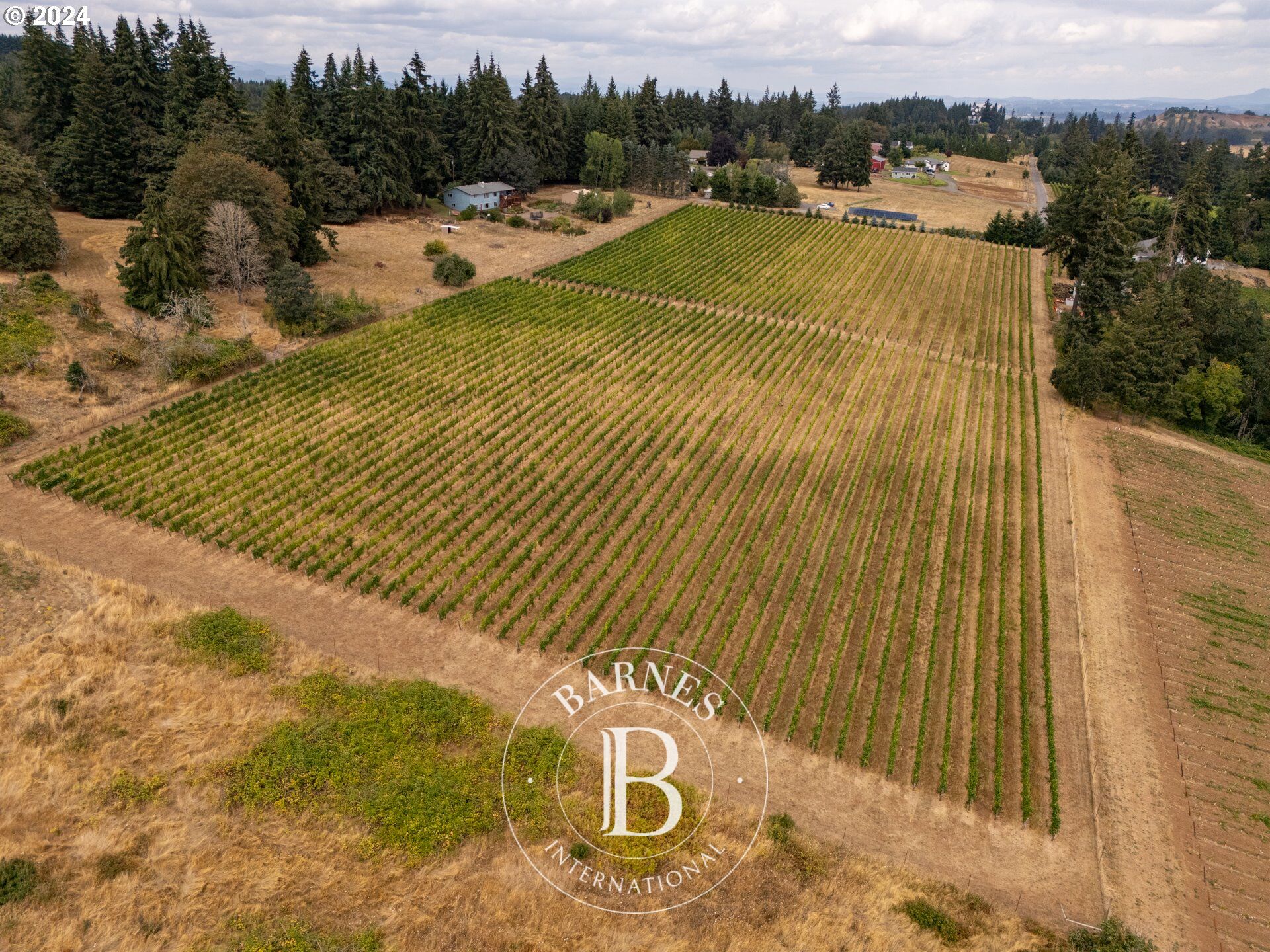 Terrain constructible Amity - picture 2