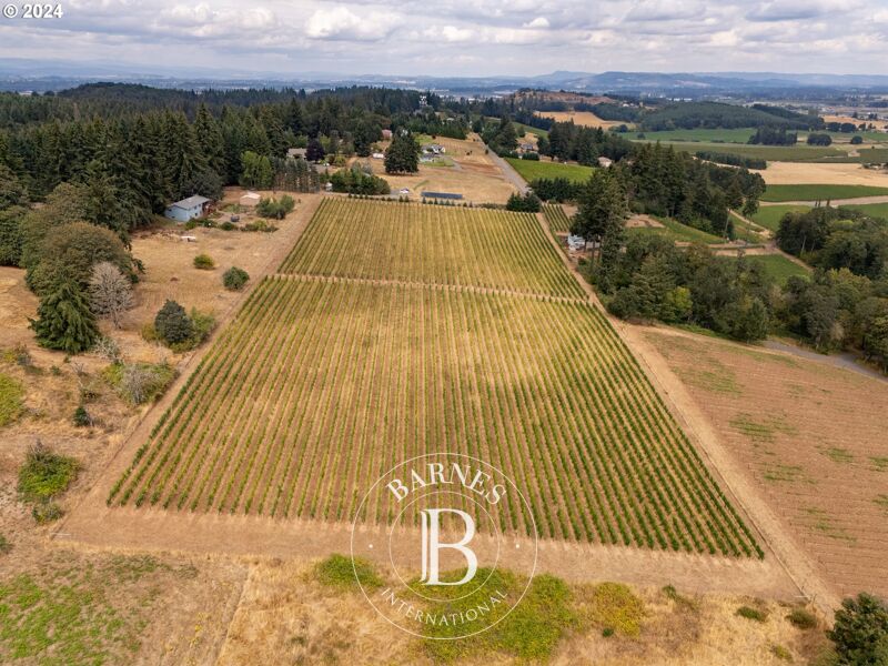 For Sale Building land | Amity - picture 3