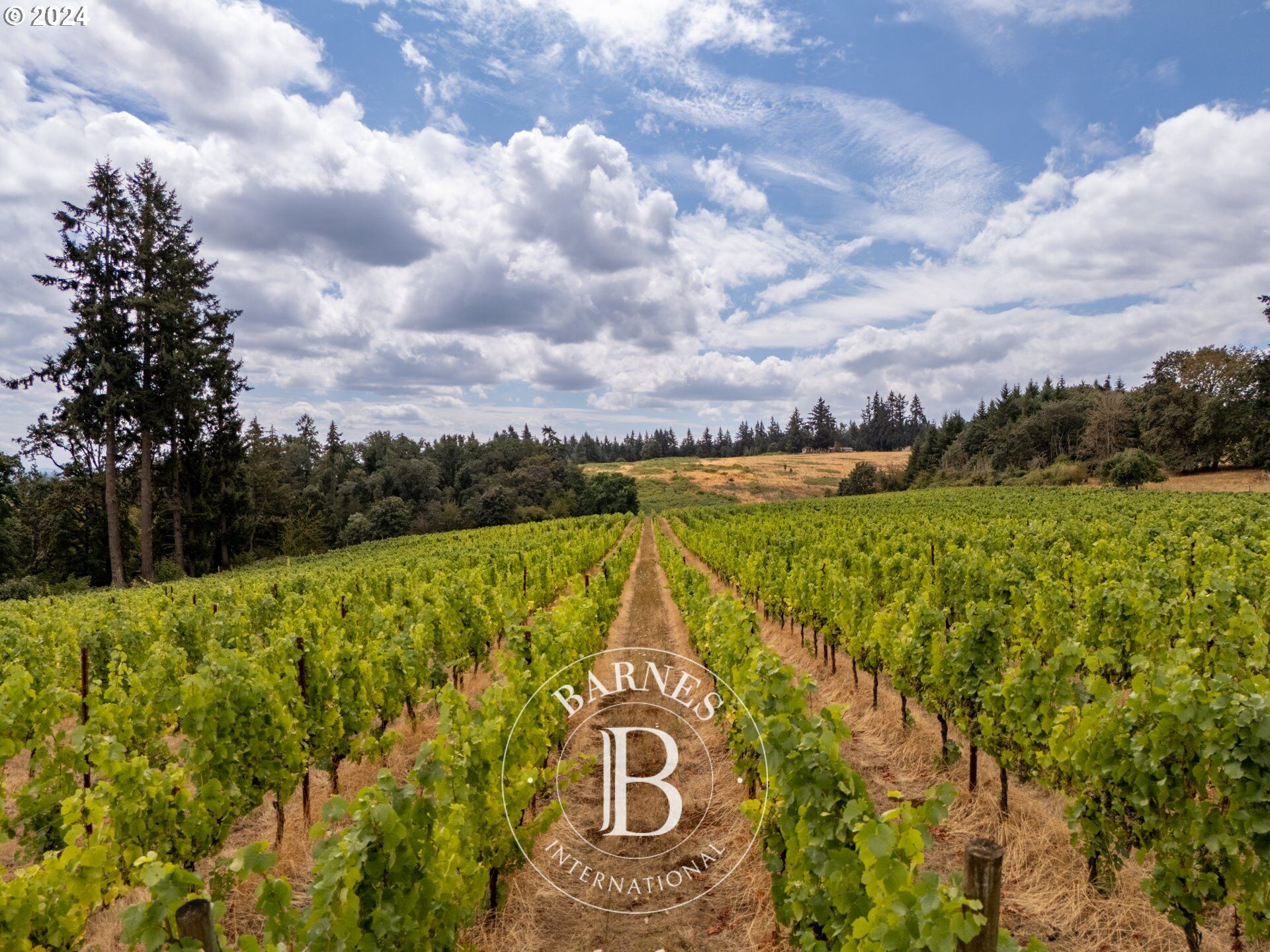 À vendre, Terrain constructible Amity - picture 2